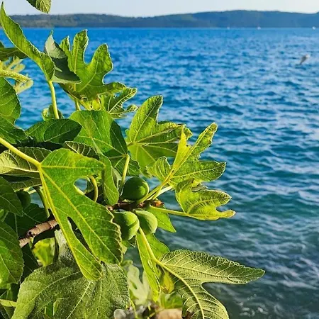 Penava, Private Beach, Pool And 7min To Apart Otel 3*