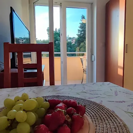 מלון דירות Penava, Private Beach, Pool And 7min To