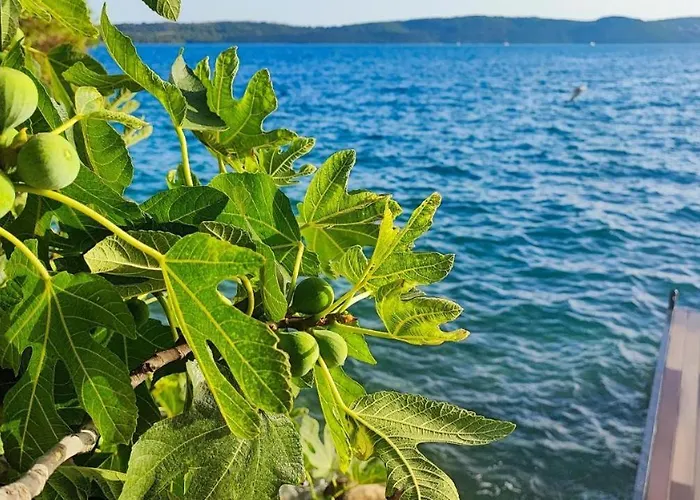 Penava, Private Beach, Pool And 7min To Aparthotel 3*